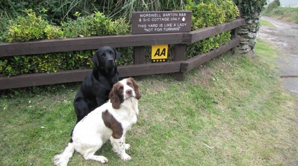 Entrance to Worswell under Guard from Wiz and Flash Entrance to Worswell under Guard from Wiz and Flash